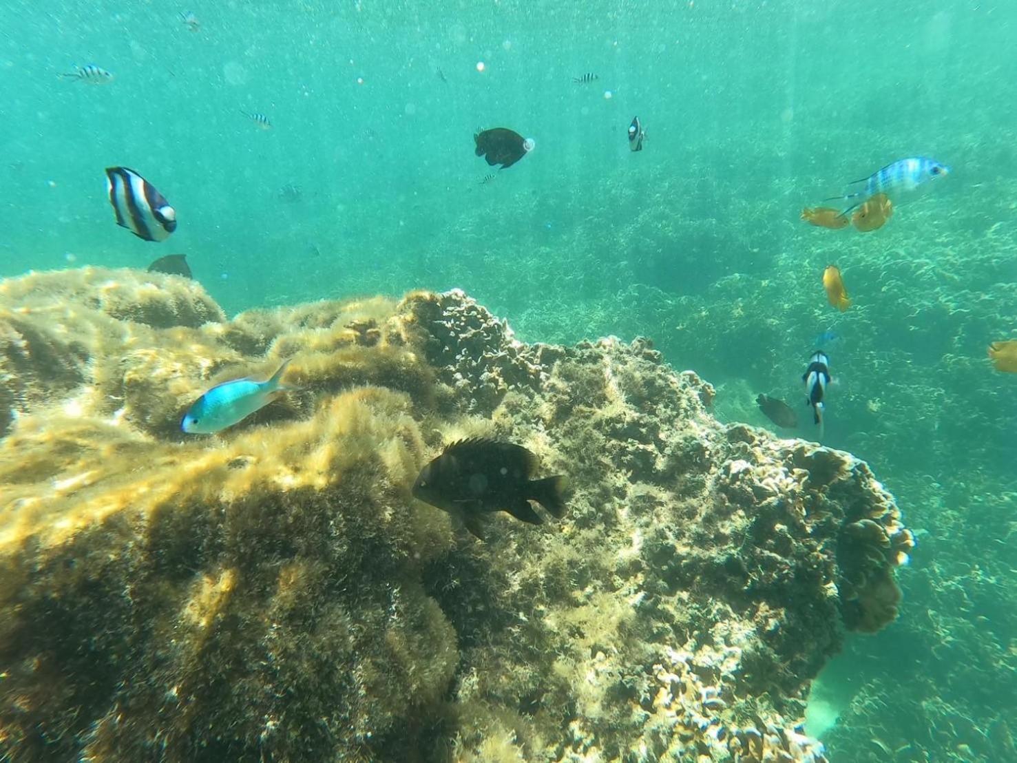 شقة Coral أونا المظهر الخارجي الصورة