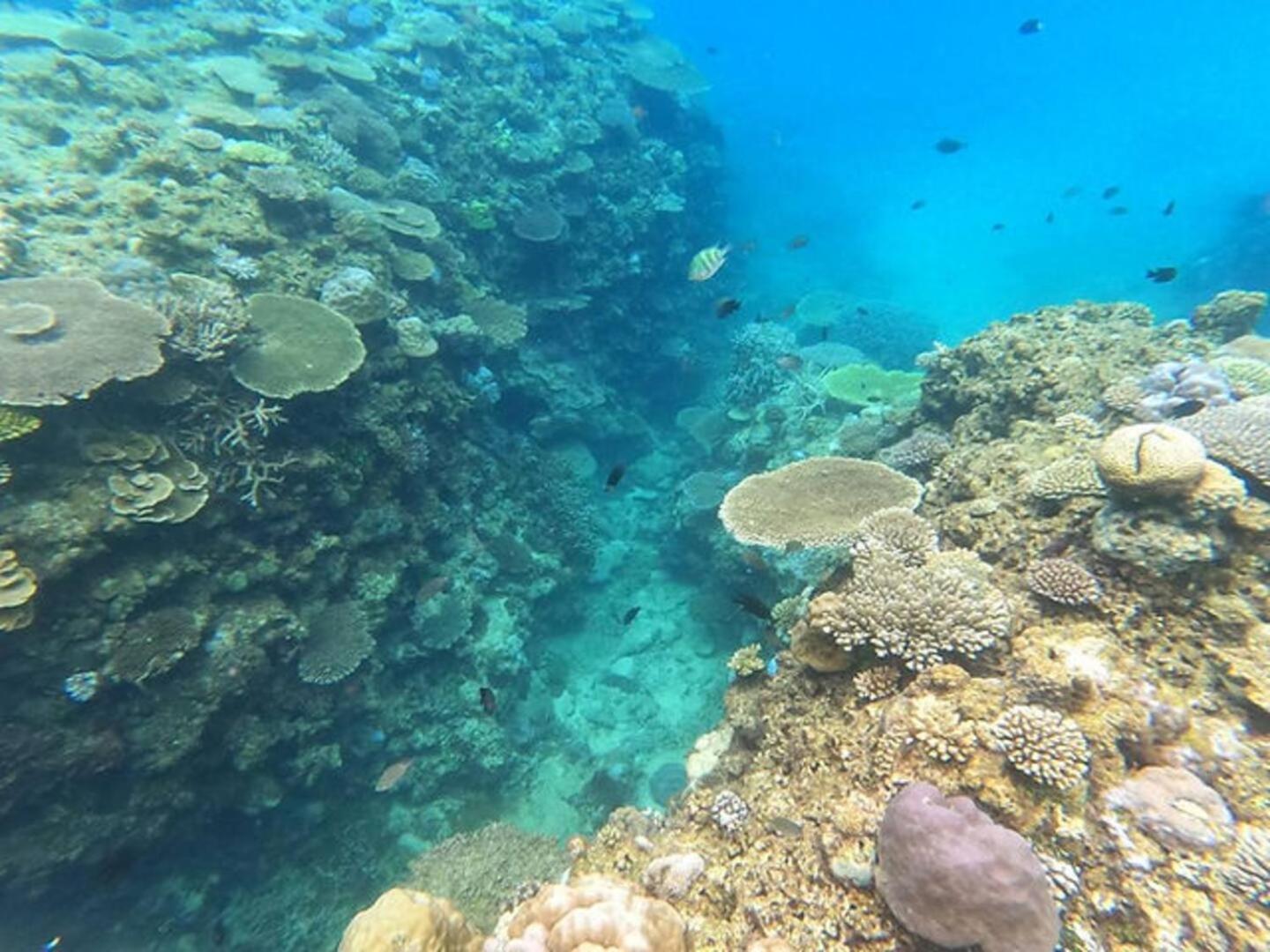 شقة Coral أونا المظهر الخارجي الصورة